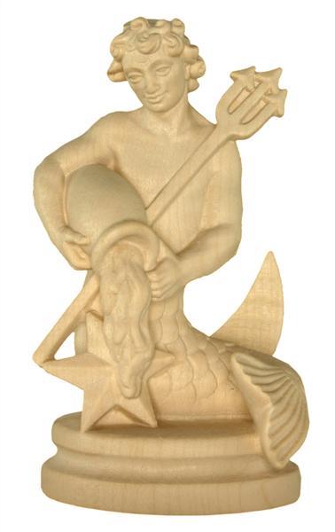 Bild von Sternzeichen Wassermann 9cm Nature