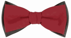 Zeige Details für Fliege bordeaux Bild von Fliege bordeaux